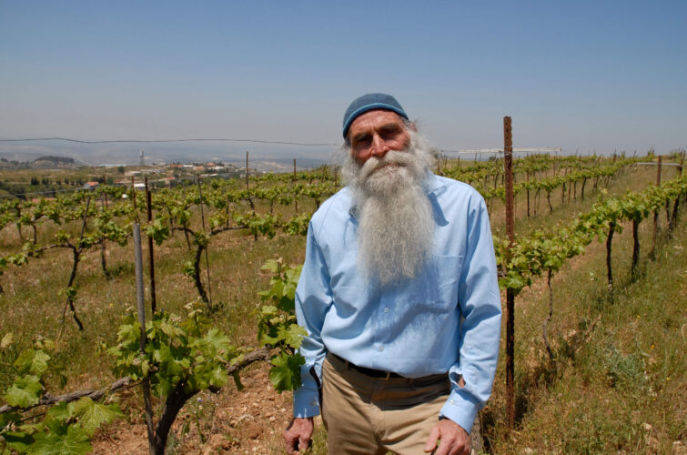 Vineyards Jerusalem Winery