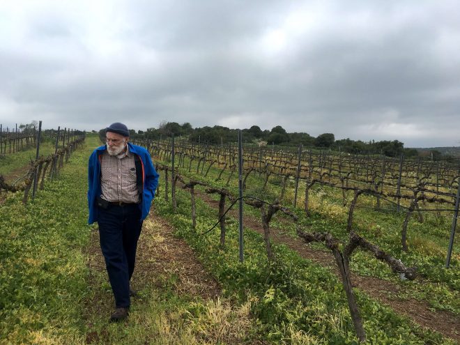 Jerusalem Winery Aderet Vinyards